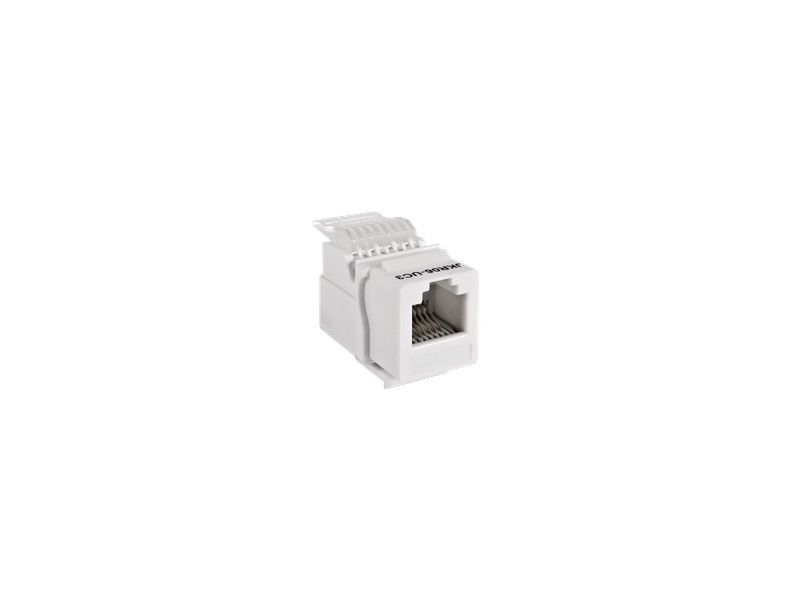 74313 EXP MODUL KEYSTON LINKBASIC RJ12 6/6 Cat3